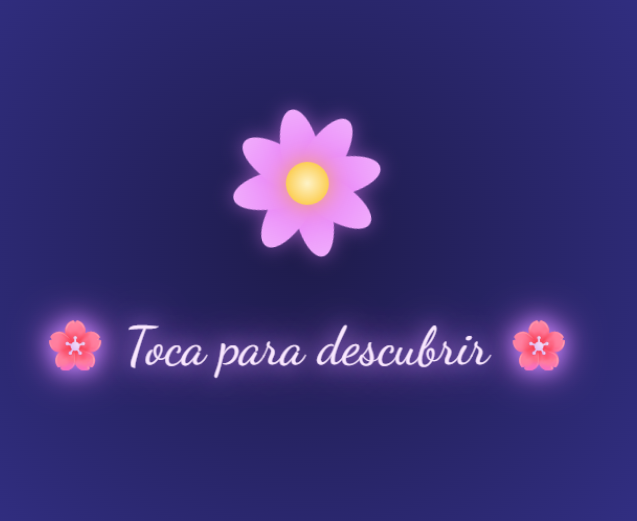 Regalo STAR NEW