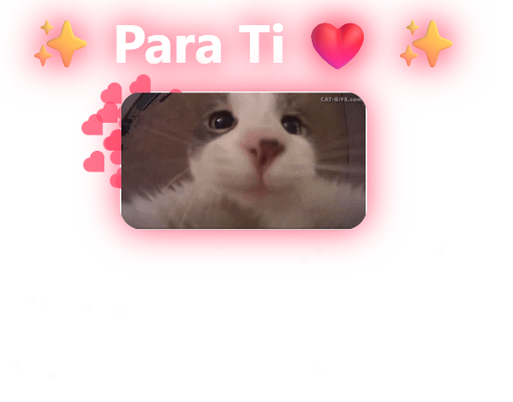 Regalo STAR NEW