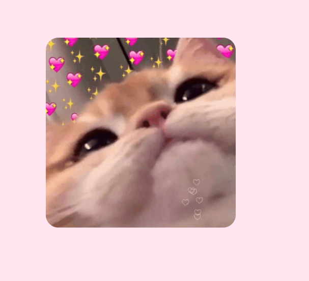 Click al Gatito