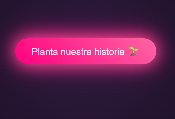 Regalo STAR NEW