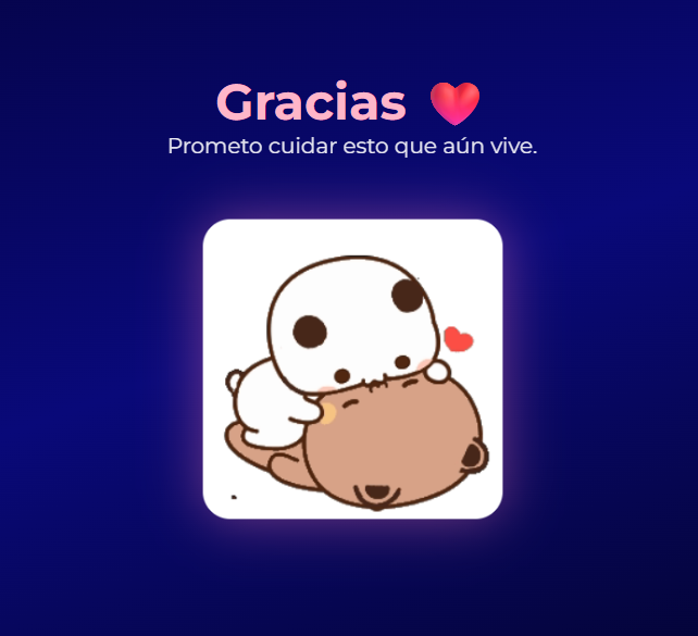 Regalo STAR NEW