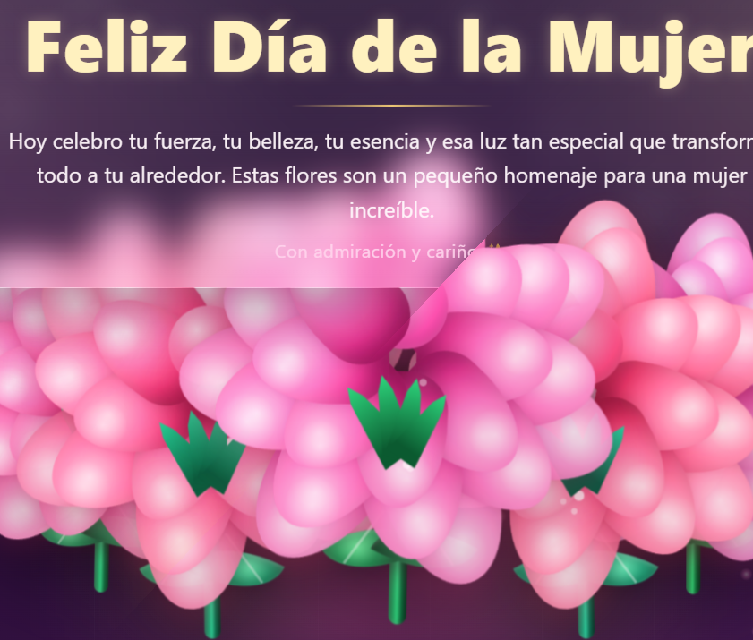 Regalo STAR NEW